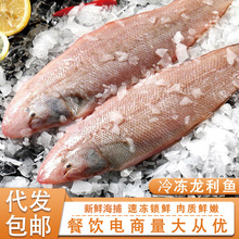 龙利鱼新鲜冷冻舌头鱼踏板鱼海捕鳎目鱼非巴沙鱼海鲜水产商用批发
