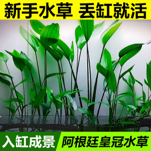 ����͢�ʹ�ˮ��ˮ���~ˮ��ֲ����~���B�~�׌����쾰��݃���ˮ�|