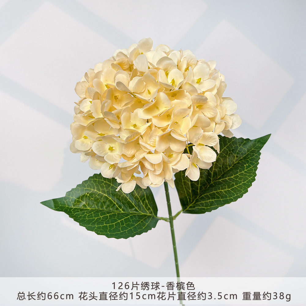 HXX-126片绣球-香槟