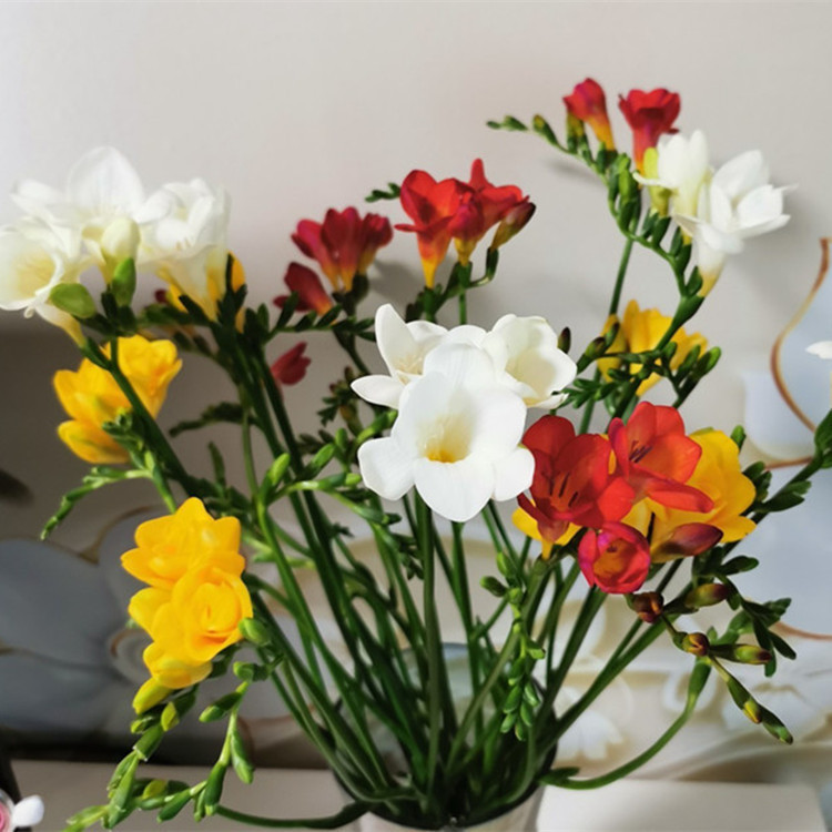 Fresh snowdrops, directly wholesale from Yunnan, Kunming base, small white flowers, cut flowers for floral arrangements, suitable for office and home use, and can be grown in water Fresh snowdrops, directly wholesale from Yunnan, Kunming base, small white flowers, cut flowers for floral arrangements, suitable for office and home use, and can be grown in water