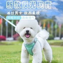 �羳����ʽ�����ر�è��С��Ȯ͸�����������ǣ�����ر�����װ