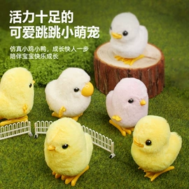 惯性回力玩具;发条玩具;减压玩具