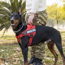 狗绳子现货批发 狗狗牵引绳 中型大型犬拉布拉多背心式宠物胸背带