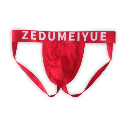 Men's underwear thong sexy fashion low waist double butt