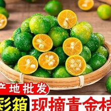 ���r����С������۱�Ƥ�̲��С�������l���]Դ�^���Sһ�����l