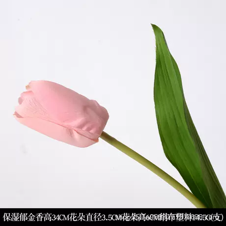 Moisturizing tulip pink