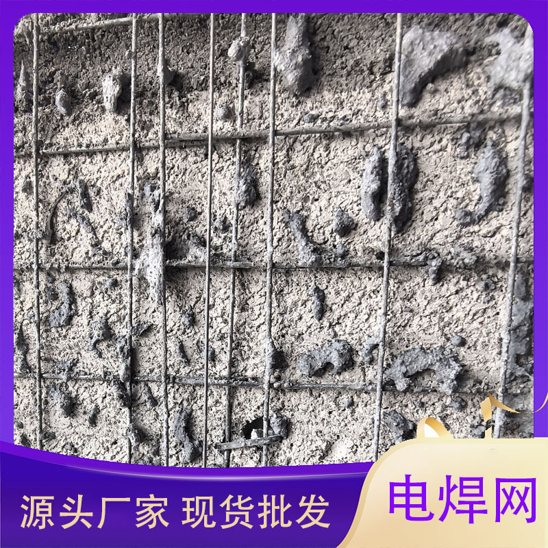 热镀锌钢丝网 抹灰网 热镀锌铁丝网 热镀锌铁丝方眼网 细目铁丝网