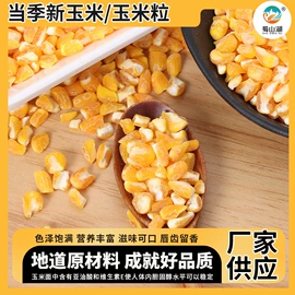 玉米;面粉;植物性饲料
