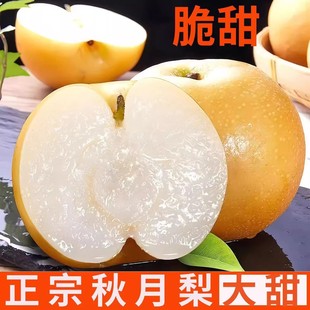 正宗【秋月梨】3/5斤新鲜水果现摘当季应季时令梨子整箱批发-阿里巴巴