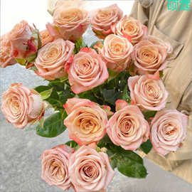 玫瑰花鲜花花束云南昆明基地直发速递同城家用插花水养花配送