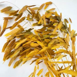 鲜花花艺制品;永生花;干花