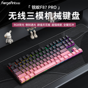 �Jρ F87Pro��ģ�Cе�I�P�o���{��RGB�ſ��Α�늸��k�������I�P