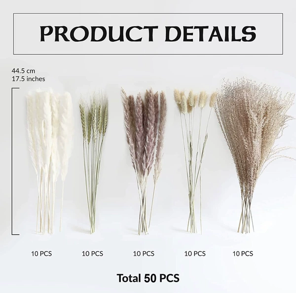 50 branches 1 combination (with inner box) -HS60