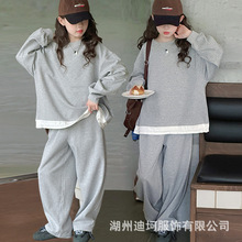 女童套装秋季2025新款大儿童洋气休闲运动卫衣阔腿裤两件套批发潮