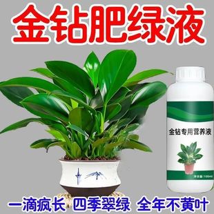 ��荠I�BҺ���÷��ϼ����҃��B���G荼t荴��~�G������ϡገ@ˇ��