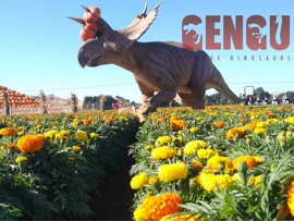 树脂工艺品;动植物仿真;展览设计制作