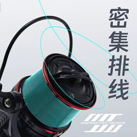 渔线轮;鱼竿;渔线