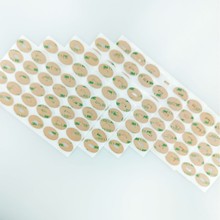 300LSE�͸ߜ�͸��PET�p���z9495LE���zģ�мӹ������N�z���z���N