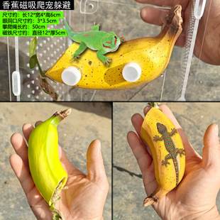 �������F������ܶ������ט䗫�޽��،m�ľ�з���B�������ܶ�