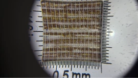 纺织原料加工;面料加工定制;其他纺织皮革