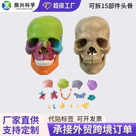 医药教学器材;教学演示用品