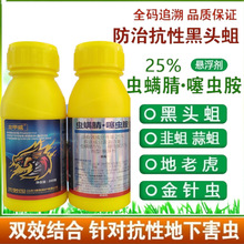 25%�x�\��&middot;���x�� �²˾����x�\���x�\�����x�@�rș���x�����l