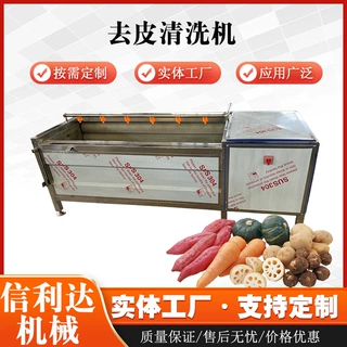 全自动芋头红薯毛辊清洗机中药材莲藕大姜清洗设备根茎类清洗机