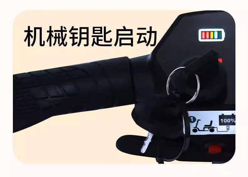 Four-Wheeled Electric Mobility Scooter for the Elderly, Double-Seater Folding Electric Scooter for Disabled People at Home