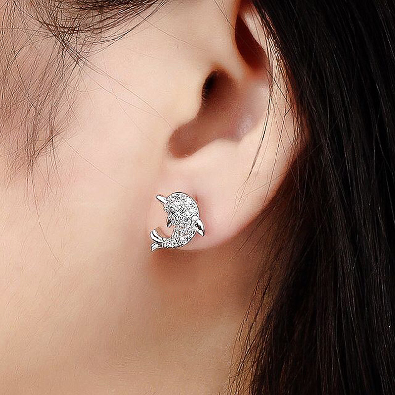 Exquisite And Small Rhinestone Dolphin Ear Studs display picture 1