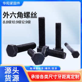 8.8级10.9级12.9级高强度外六角螺丝M6-M64六角头螺栓加长螺栓厂