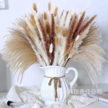 �JȔ�ɻ����С�����͏d�[���滨ins��ʽ�b���β��