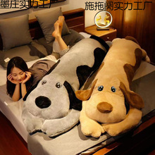 ɐëſſ̖żɲϴLlëqŮϱ˯