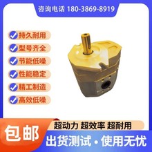 ROQUET西班牙齿轮泵1L01.5/3/5/7.5/10DP01R 1L010DP01R液压油泵