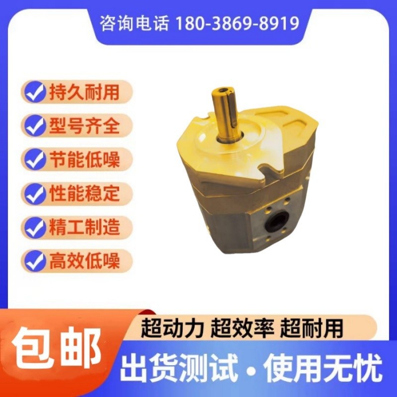 ROQUET西班牙齿轮泵1L01.5/3/5/7.5/10DP01R 1L010DP01R液压油泵