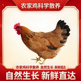 �Ĳ��u���l�����Ĳ��uҬ���uԴ�^�����S��ֱ���͏d����會��|�u