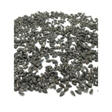 ��������С��������Ϳ����W�^�Bʳ��ς}����ʳ�B�Z���Z5����]