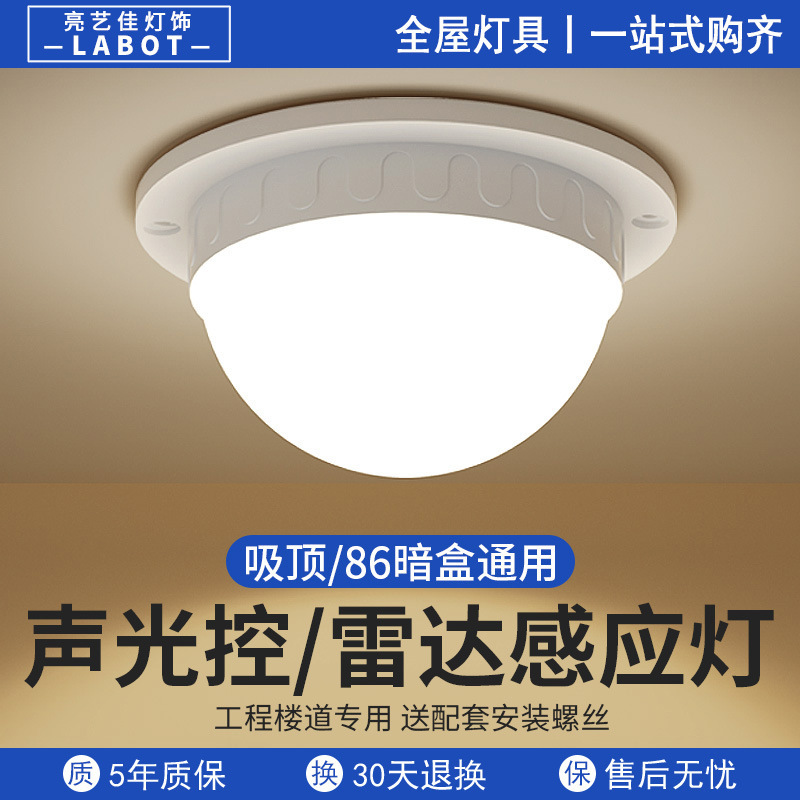 led induction ceiling light voice control light household radar human body corridor staircase corridor balcony light aisle induction light