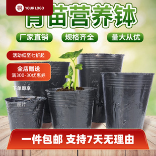 �I�B�����籭һ���Ժ�ɫ�I�B�������̖���Nֲ����������I�B��