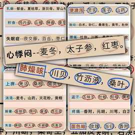 96张中药病症处理知识点贴纸医学生必备中药速记考试笔记详细装饰