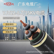 �V�|��|�SYJV228.7/15KV3*35/50/70/95/120/150/185/240���ȼ