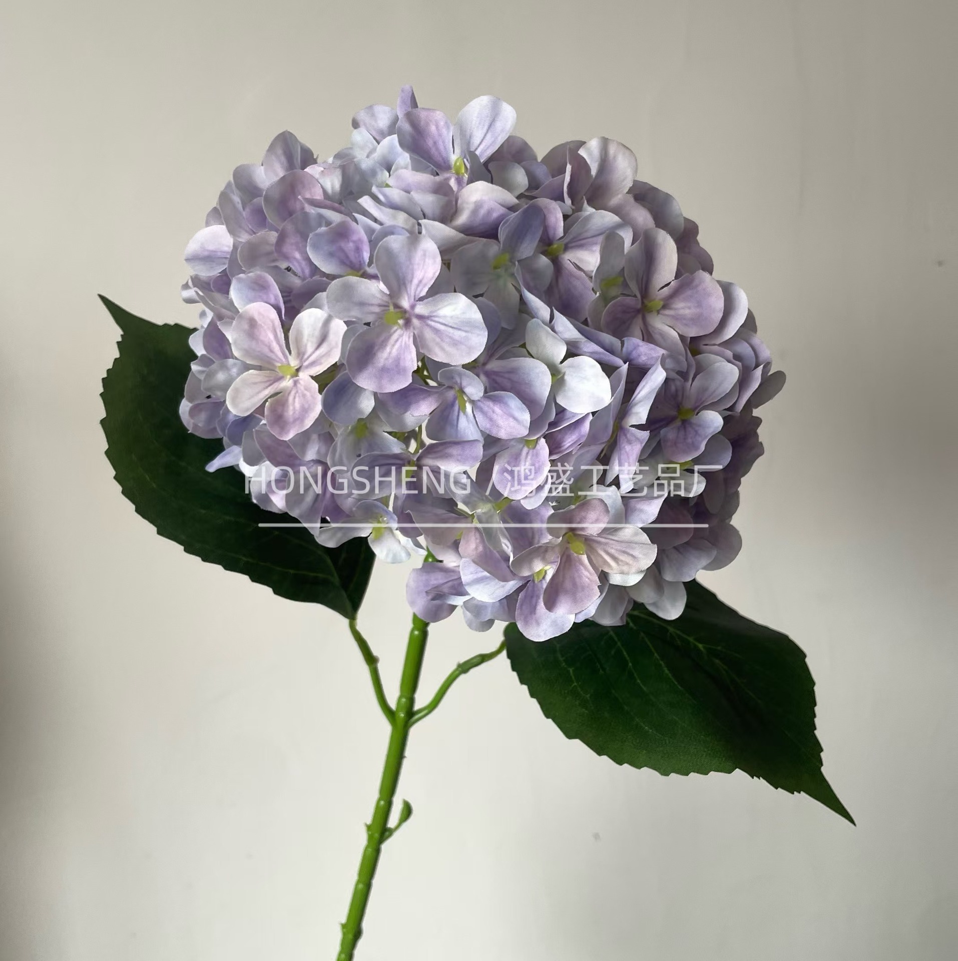 밝은 보라색