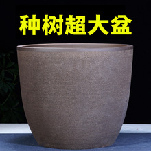 �̨�m�������m�N�了�s�辰������ɰ�����մɻ����ڏ����l