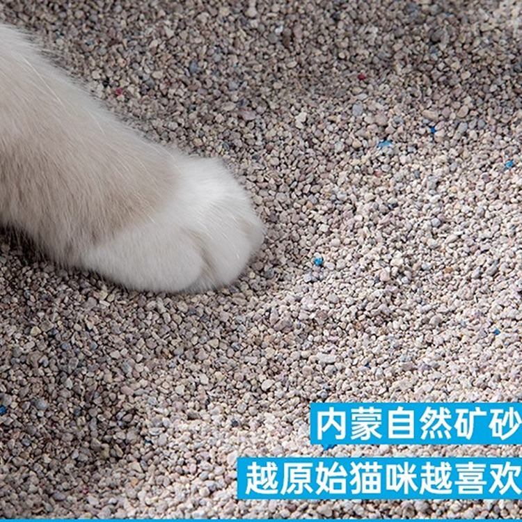 천연 미네랄 고양이 모래, 무포름알데히드, 저먼지 20파운드 활성탄 탈취, 벤토나이트 고양이 모래와 혼합된 먼지 없는 생 미네랄 모래