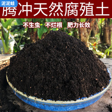 云南森林腐叶土养花种菜专用种植土壤通用型营养土腐熟松针腐殖土