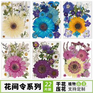 Dried flower embossing diy makeup modeling personal photo face makeup flower real flower glue plant specimen material bag