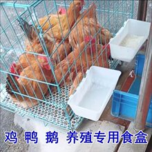 ιʳ���u���_����ϒ��h�����u�����ӻ\ˮ���ʳ�۷������ʽʳ��