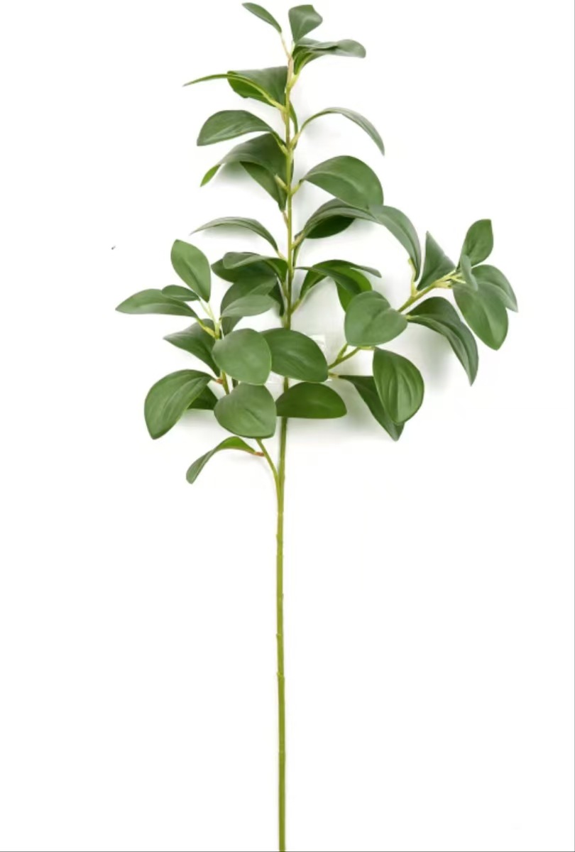 78CM 두반 잎