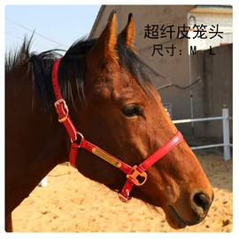 其他运动护具;体操/运动垫;马术用品