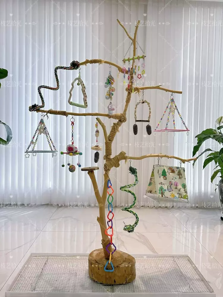 干树枝原木杈干鸟架造型鹦鹉站架去皮干枝枯木树干装饰架吊小鸟架
