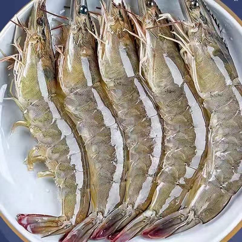 wholesale Prawns Shrimp 2 Shrimp Fresh White shrimp Shrimp Shrimp Fresh Shrimp